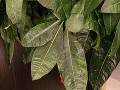 -赣江里•江西菜(望京旺角店)