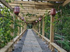 -中家鑫园温泉酒店鑫悦汤泉