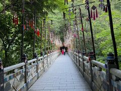-西双版纳原始森林公园