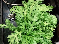 -八合里牛肉火锅(新洲店)