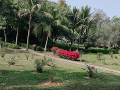 -深圳湾公园(南山区)