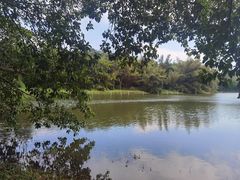 -南国桃园旅游度假区