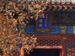 -香山公园