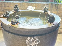 -黄三怪(动物园·无影山店)