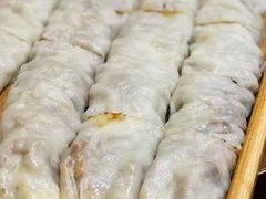 肉笼-华盛园卷子王农家菜水库鱼