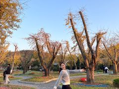 -南京银杏湖乐园