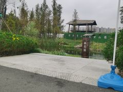 -长田漾湿地公园