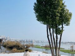 -大小河街