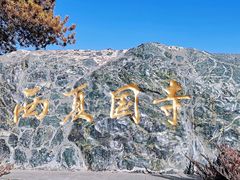 -张掖大佛寺景区