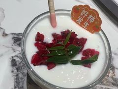 -阿露佳·舌尖上的安吉菜