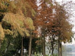 -重庆彩云湖湿地公园
