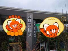 -运河游船(武林门码头)