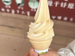 -长洲岛