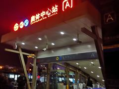 -奥体中心(地铁站)