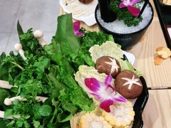 -淼福猪肚鸡·椰子鸡火锅(大沙地店)