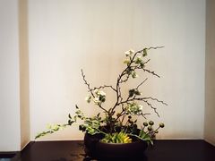 -天然台1908(中建广场店)