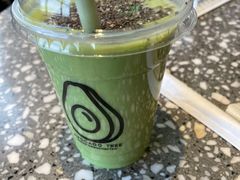 -油梨树AVOCADO TREE(望京店)