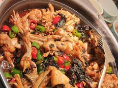 -蛙小侠(古镇大信新都汇店)