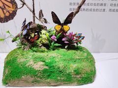 -山东博物馆