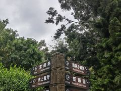 -野象谷景区