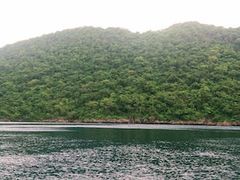 -维乐口腔医院(星海湾分院)