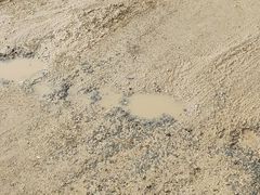 -日照海滨国家森林公园
