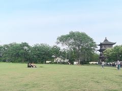 -鲁镇