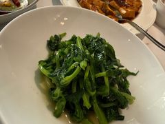 高山豆苗-南麓·浙里(外滩店)