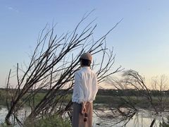 -绿堤公园