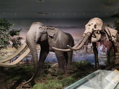 -湖南省地质博物馆