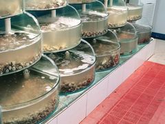 -同道蒸汽海鲜烧烤自助(刘庄夜市店)