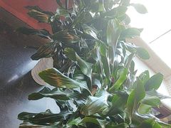 -大鸭梨烤鸭(金色漫香店)