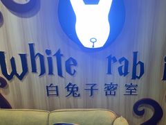 -白兔子密室(长寿路店)