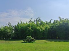 -眉山湿地公园(东坡区)