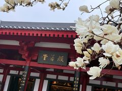 -大慈恩寺(大雁塔)
