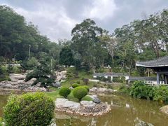 -深圳仙湖植物园