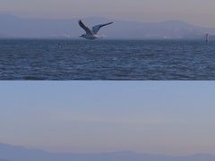 -深圳湾公园(南山区)