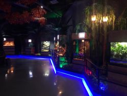-未来动物城动物主题公园(大悦城店)