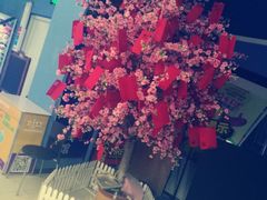 红包树-大玩家(平江万达店)