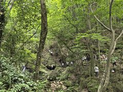 -波尔登森林公园