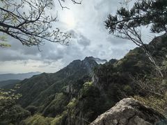 -王顺山国家森林公园