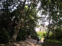 -菊花台公园