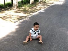 -黄海国家森林公园