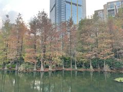 -荔枝公园(福田区)