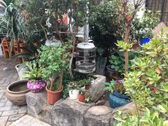 -桥馫源蒙自过桥米线(蒙自店)