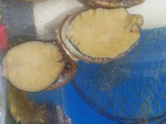 -宾朋海鲜特色美食餐厅·纯手工鲅鱼水饺(兴海路店)