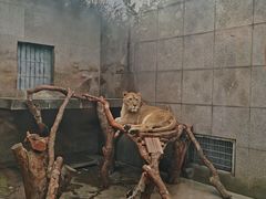 -西安秦岭野生动物园