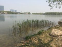 -大兴滨河森林公园