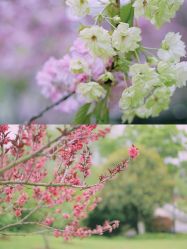 -玄武湖景区-情侣园游乐场