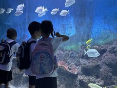 -金豆子幼稚园